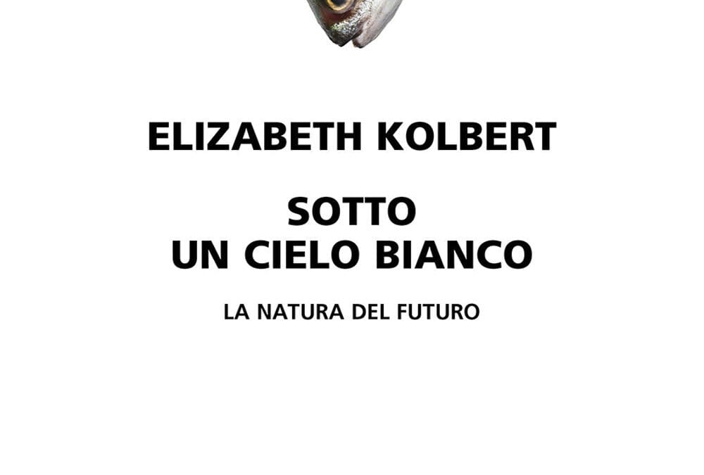 SOTTO UN CIELO BIANCO di Elizabeth Kolbert